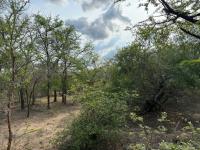  of property in Hoedspruit