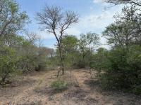  of property in Hoedspruit