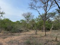  of property in Hoedspruit