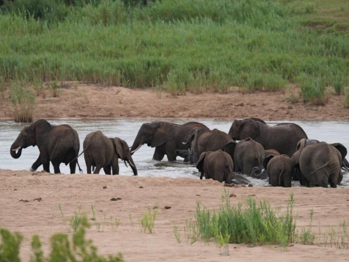 Farm for Sale For Sale in Bushbuckridge - MR700283