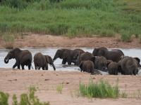  of property in Bushbuckridge