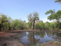  of property in Bushbuckridge