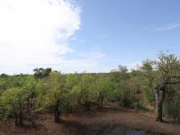  of property in Bushbuckridge