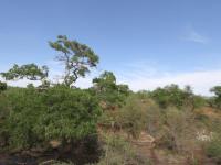  of property in Bushbuckridge