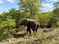  of property in Bushbuckridge