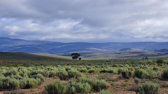 Farm for Sale For Sale in Montagu - MR700302