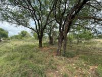  of property in Hoedspruit