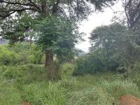  of property in Thabazimbi