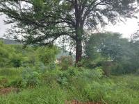  of property in Thabazimbi