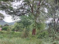  of property in Thabazimbi