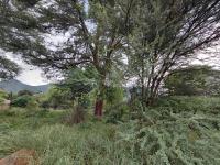  of property in Thabazimbi