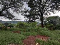  of property in Thabazimbi