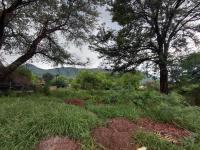  of property in Thabazimbi