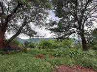  of property in Thabazimbi