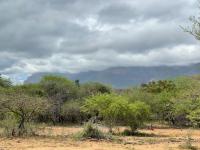  of property in Hoedspruit