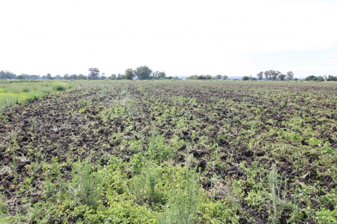 Smallholding for Sale For Sale in Potchefstroom - MR700704