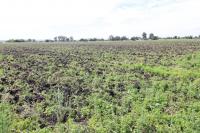  of property in Potchefstroom