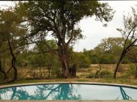  of property in Hoedspruit