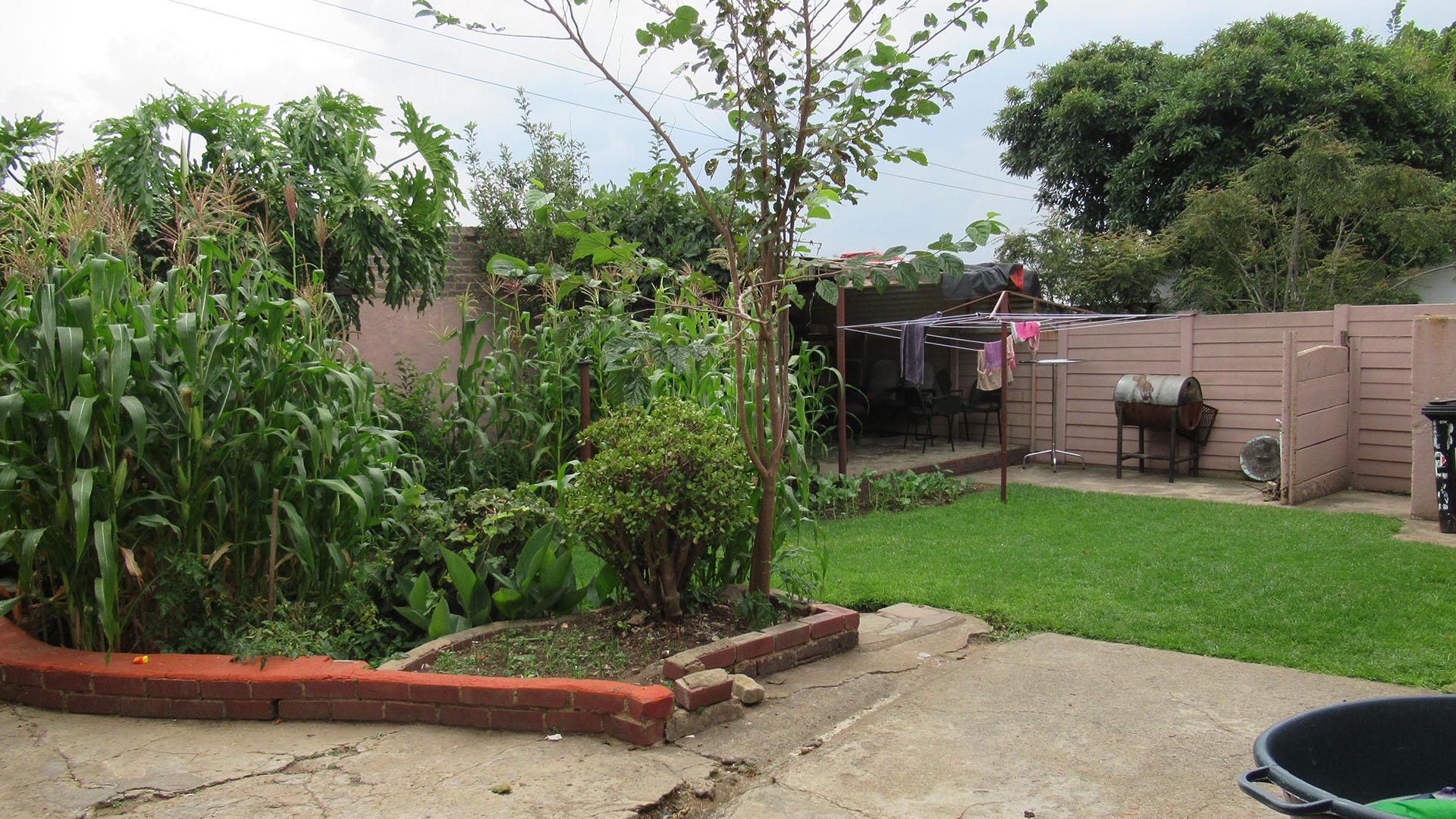 Backyard of property in Rosettenville