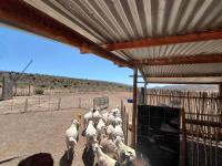  of property in Swellendam