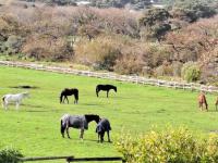  of property in Chapmans Peak