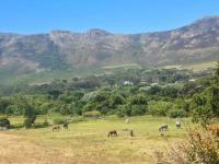  of property in Chapmans Peak