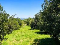  of property in Rustenburg