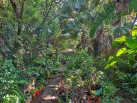  of property in Schoemansville