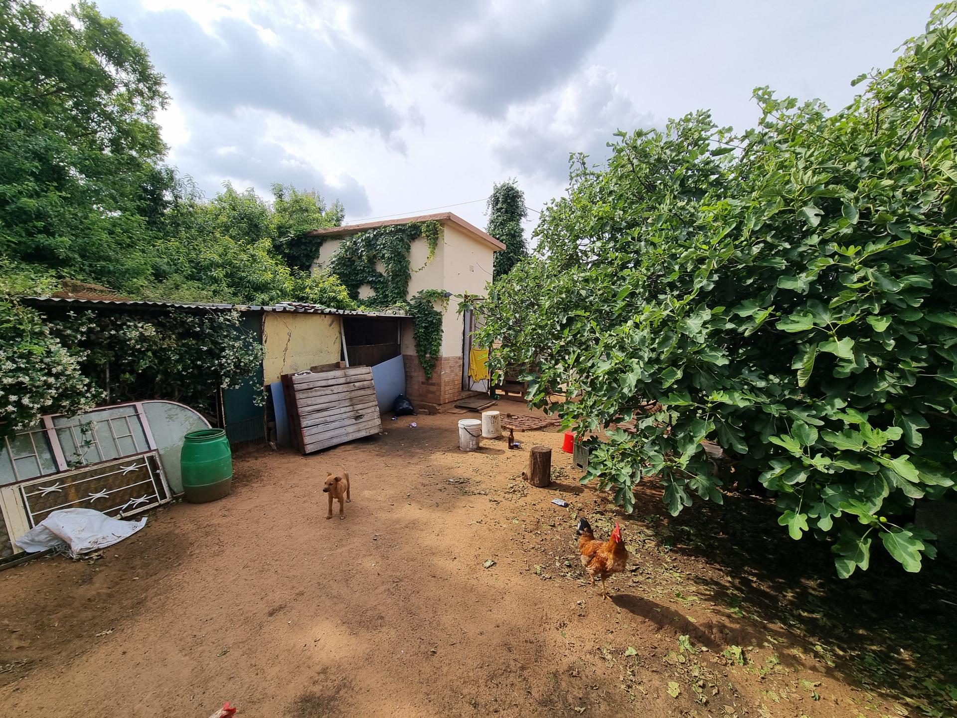  of property in Hennenman