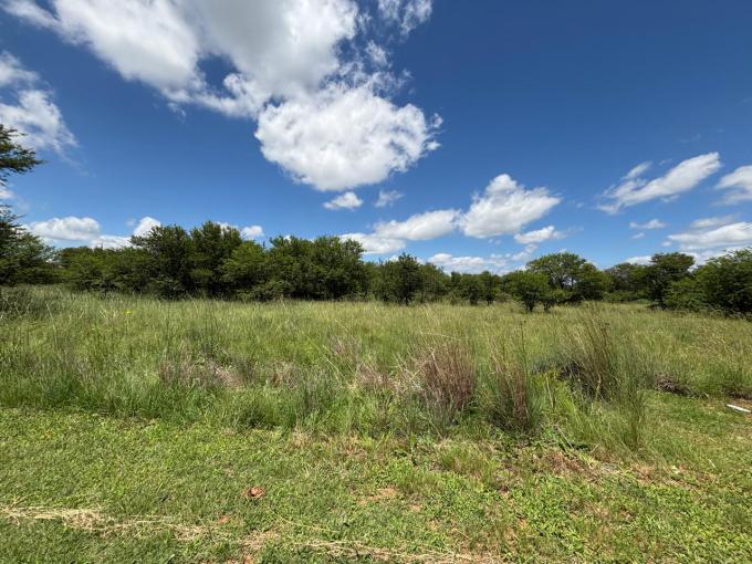 Land for Sale For Sale in Parys - MR701968