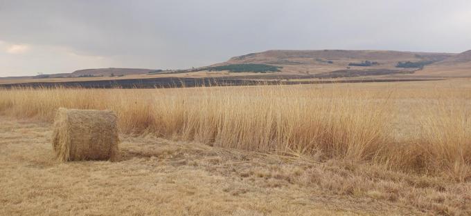 Farm for Sale For Sale in Amersfoort - MR701994