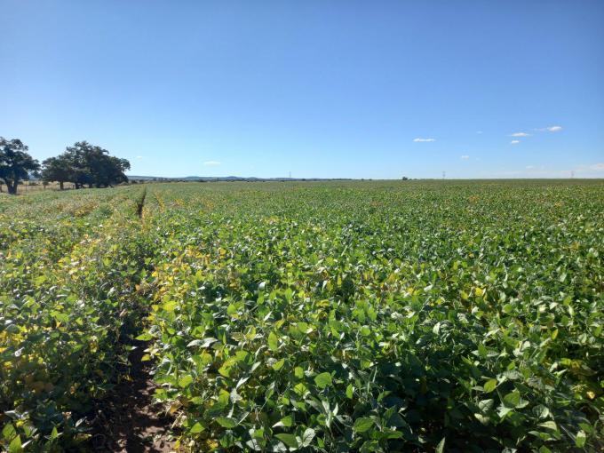 Farm for Sale For Sale in Wolmaransstad - MR702050