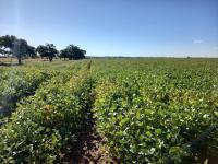  of property in Wolmaransstad