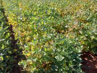  of property in Wolmaransstad