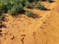  of property in Wolmaransstad