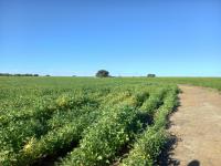  of property in Wolmaransstad