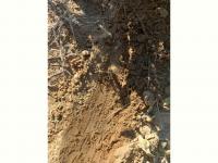  of property in Wolmaransstad