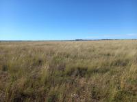  of property in Wolmaransstad