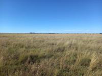  of property in Wolmaransstad