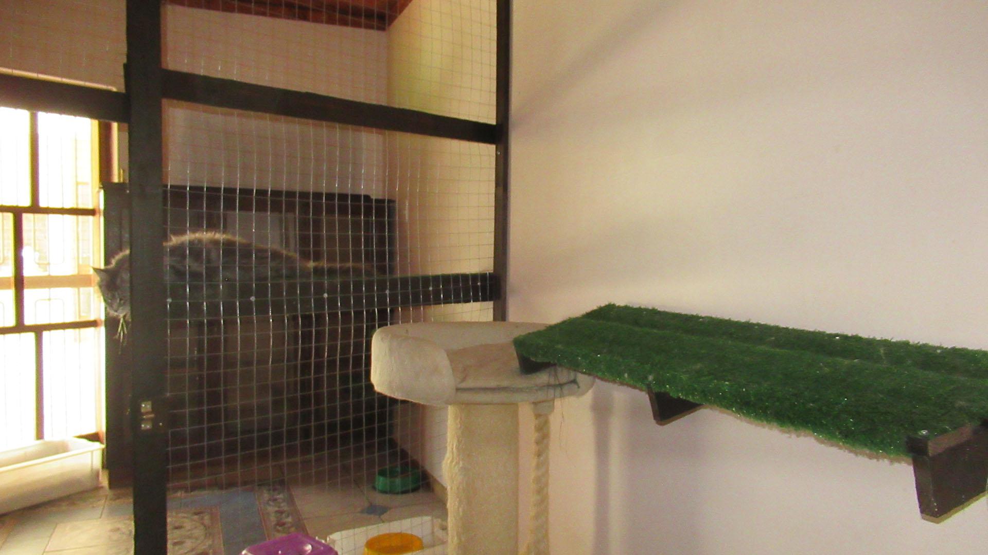 Spaces - 20 square meters of property in Constantia Kloof