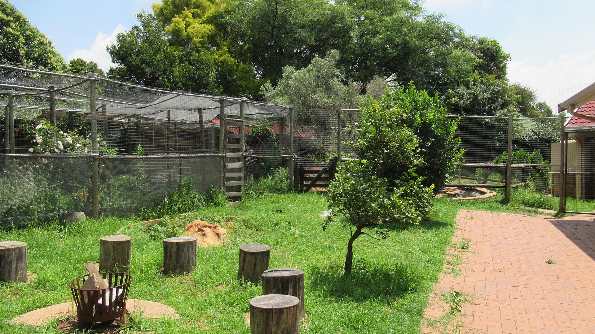 Backyard of property in Constantia Kloof