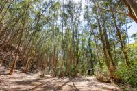  of property in Robertson