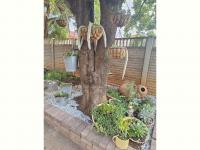  of property in Virginia - Free State