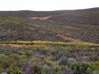  of property in Montagu