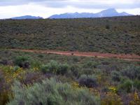  of property in Montagu