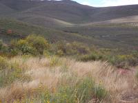  of property in Montagu