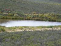  of property in Montagu