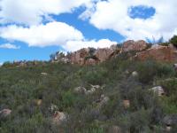  of property in Montagu