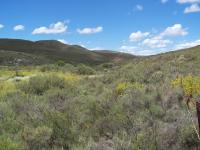  of property in Montagu