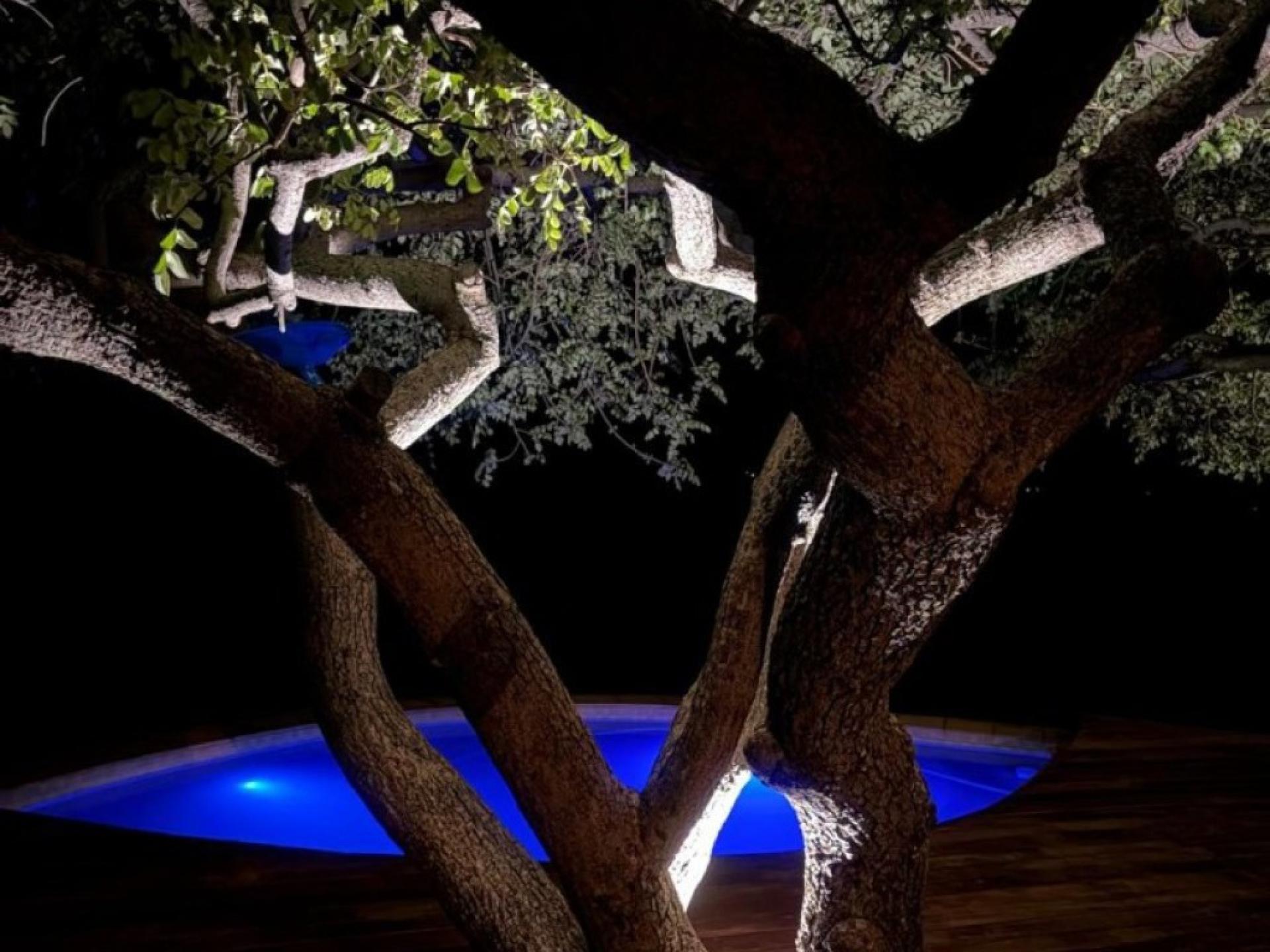  of property in Bela-Bela (Warmbad)